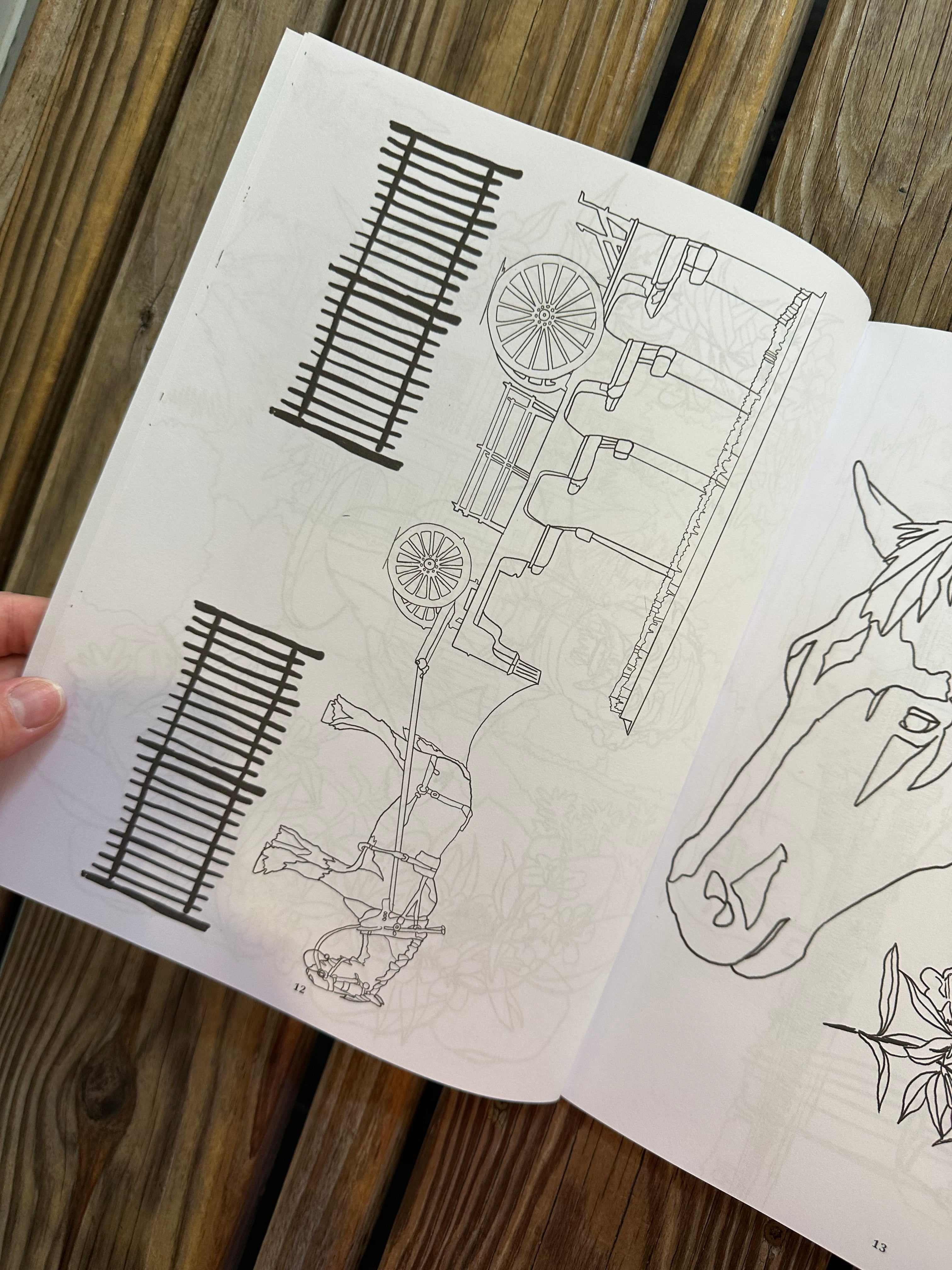 Beautiful Beaufort Coloring Book