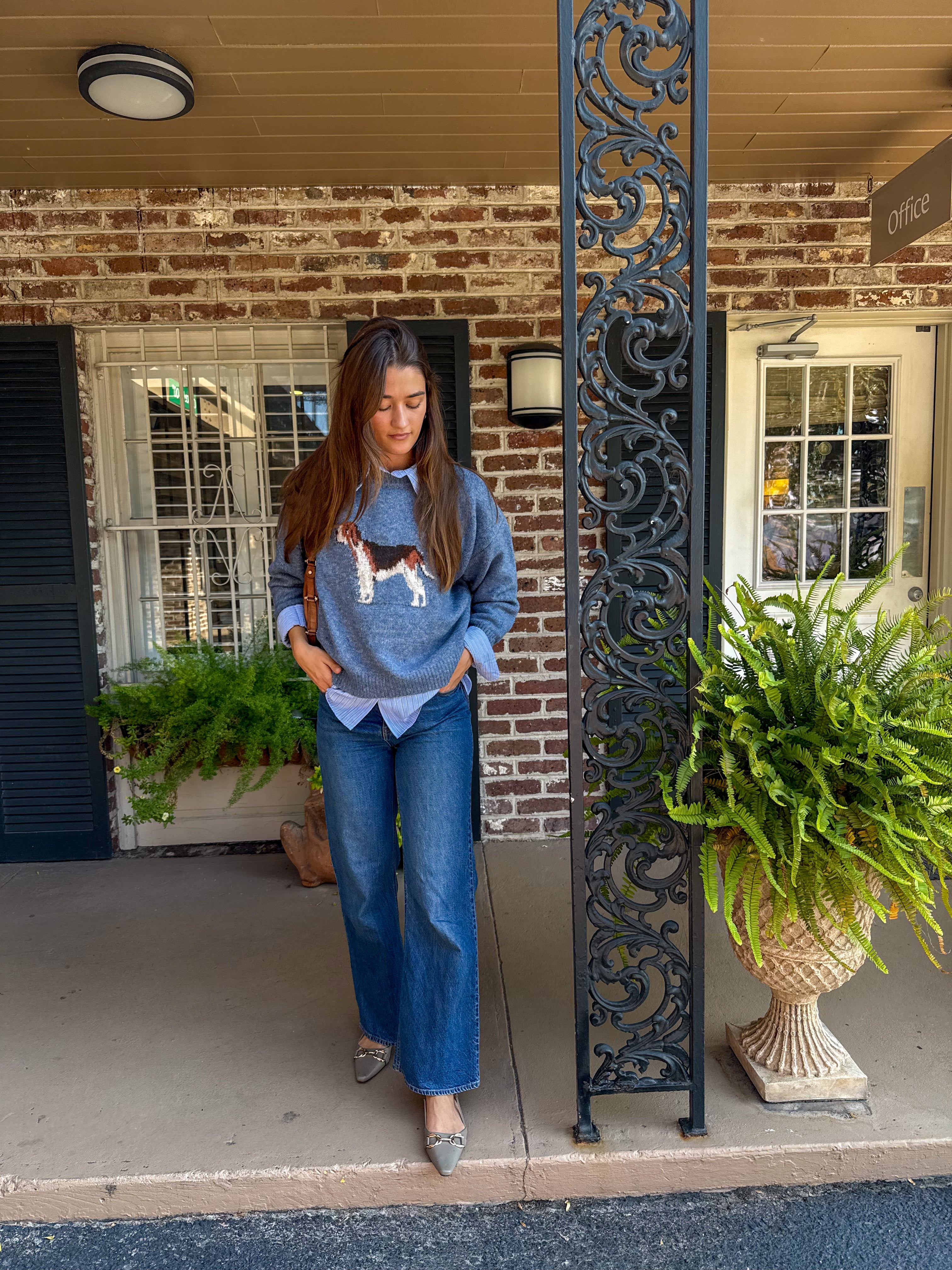 Antique Blue Hound Sweater