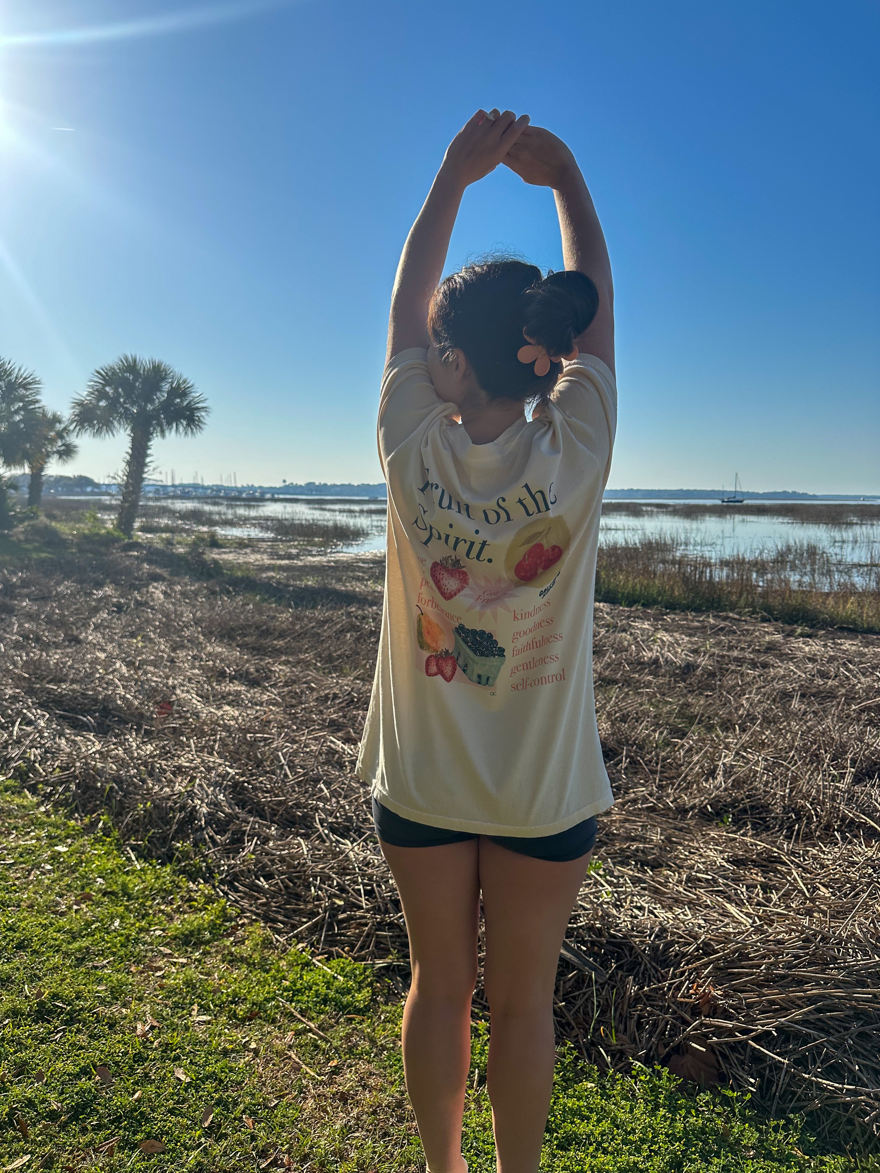 Fruit of the Spirit Tee