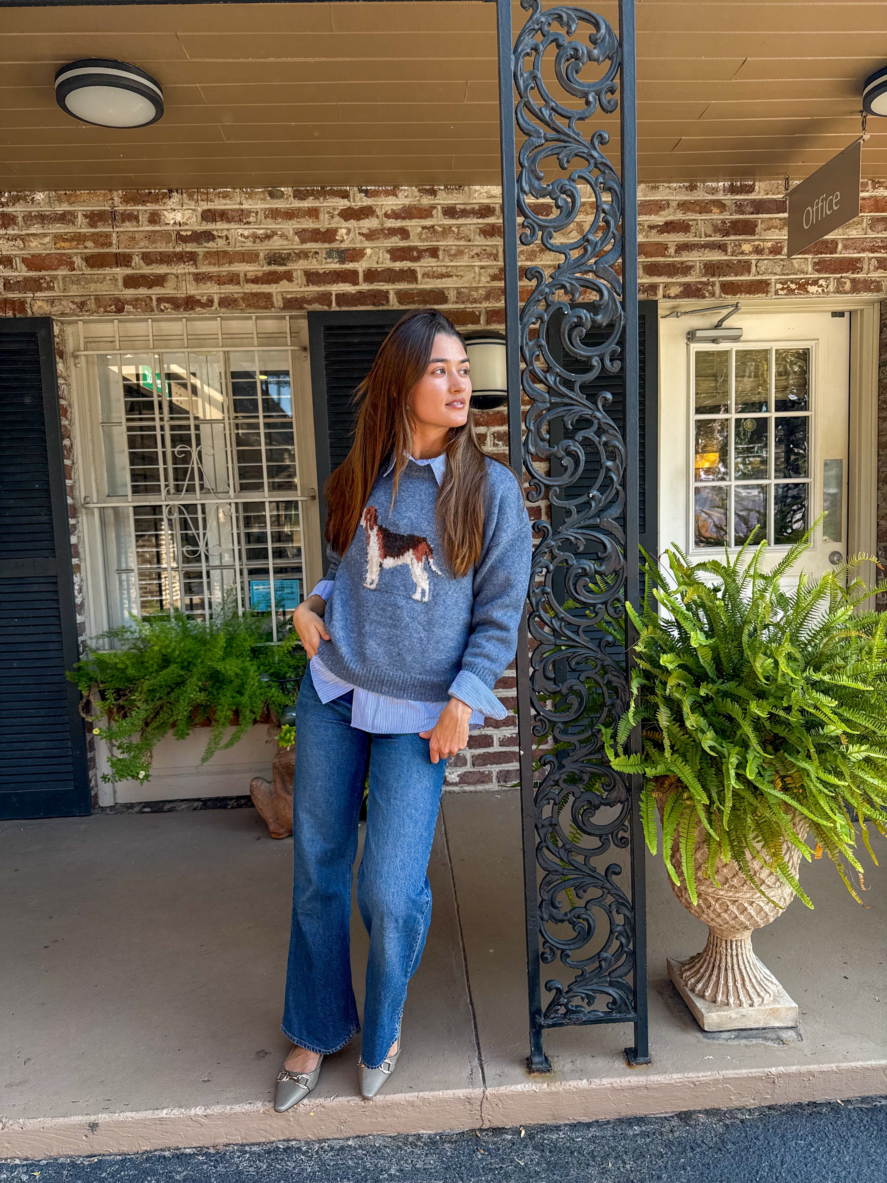 Antique Blue Hound Sweater