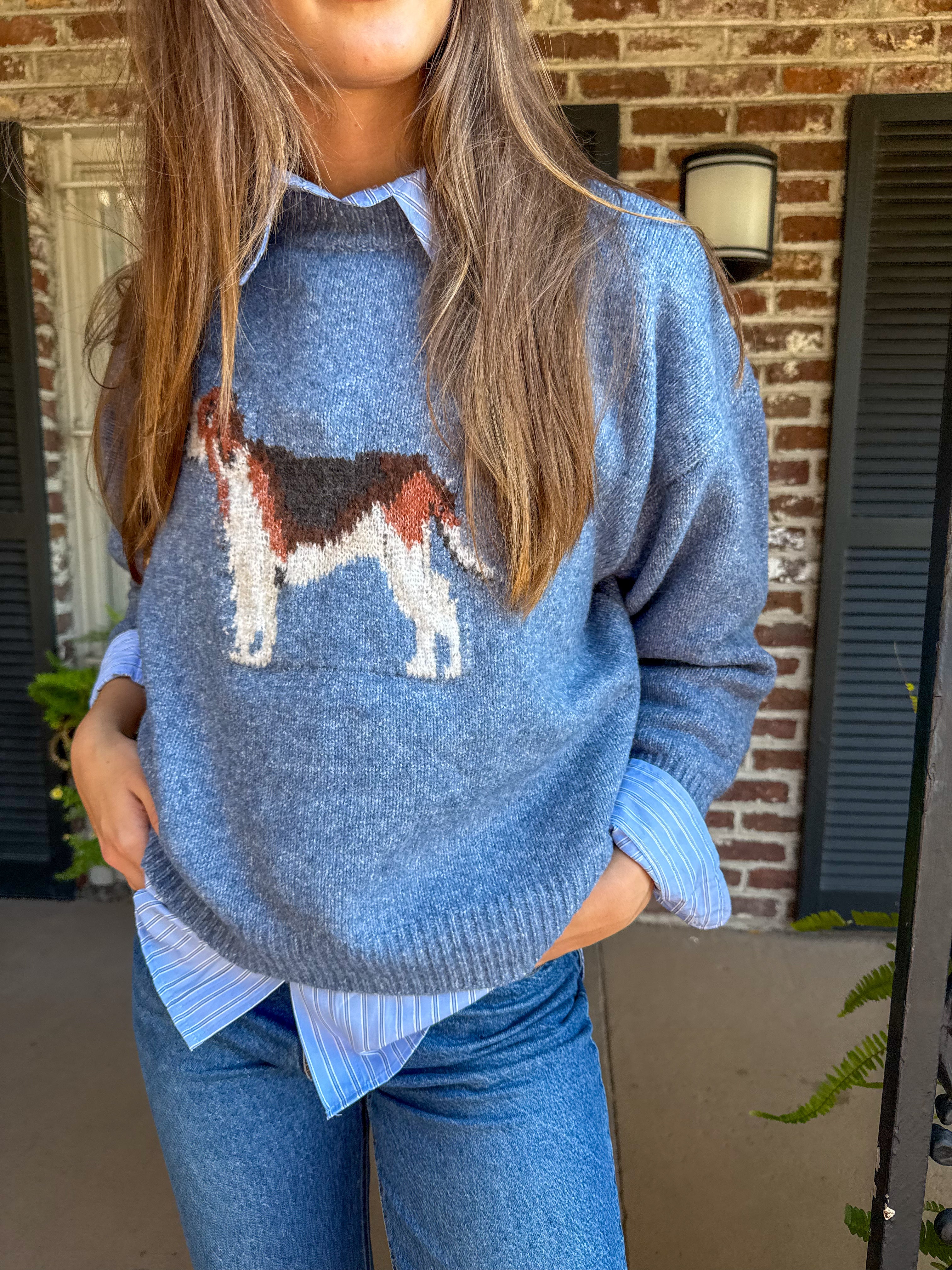 Antique Blue Hound Sweater