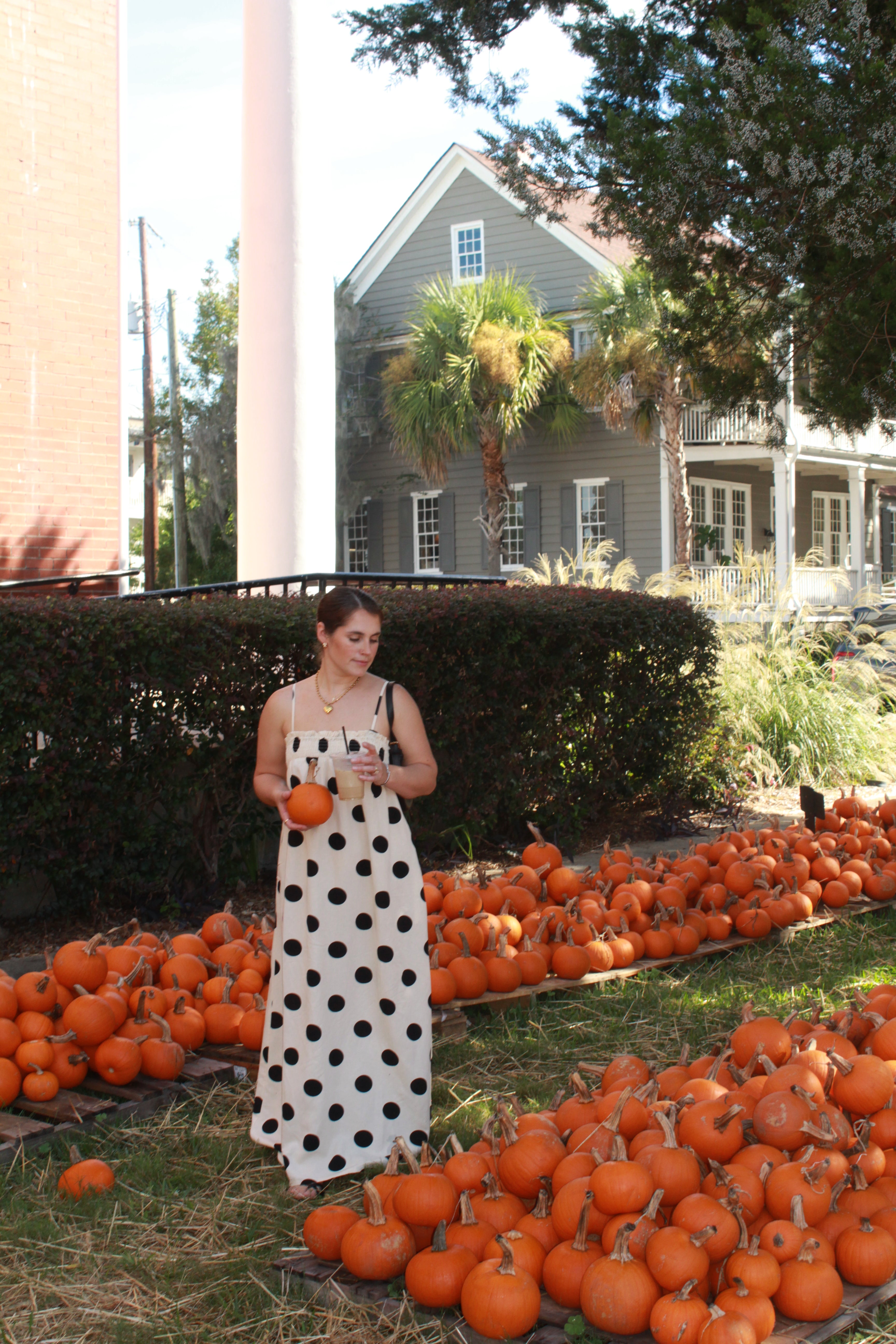 Polka Dot Maxi