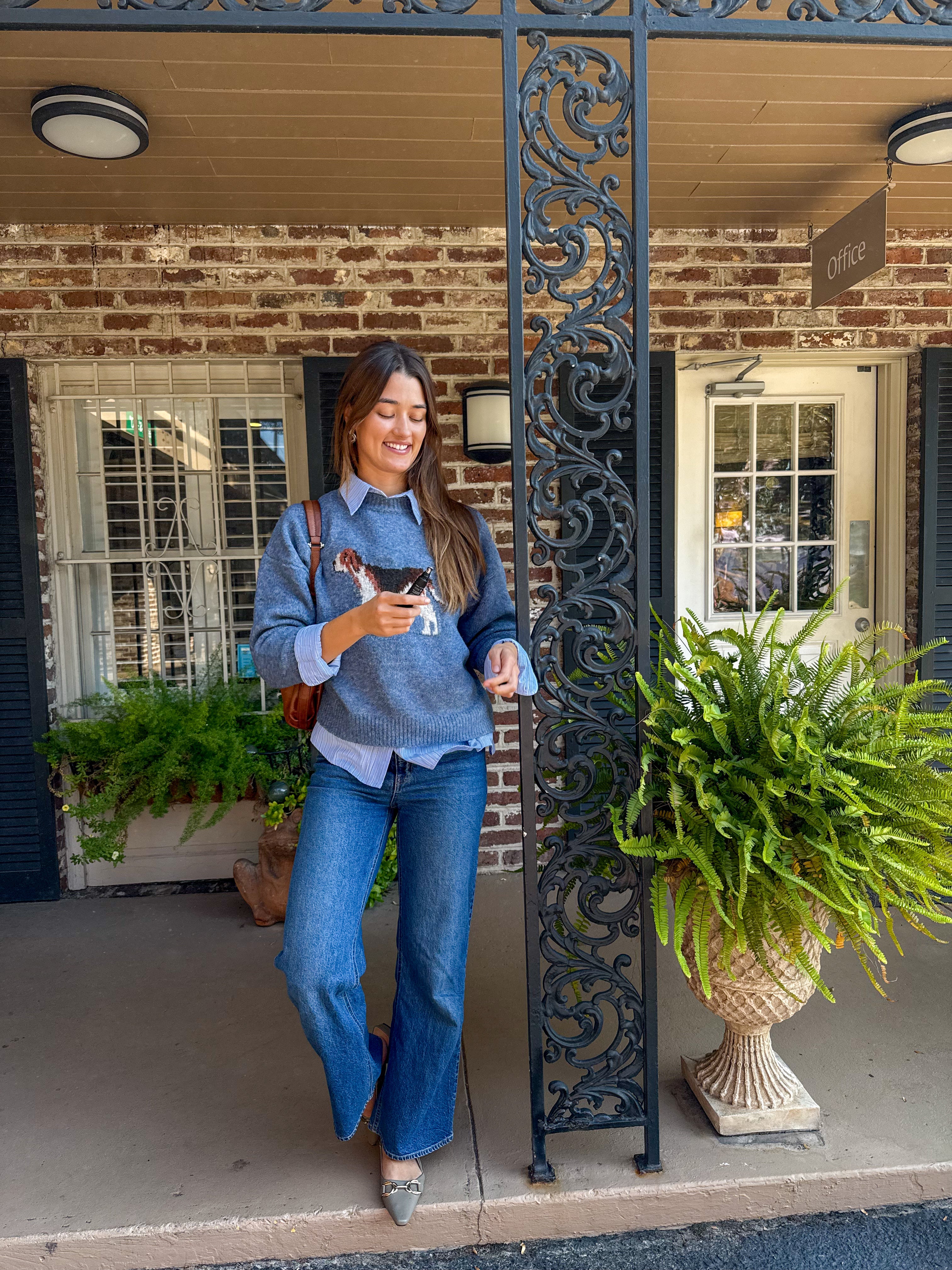 Antique Blue Hound Sweater