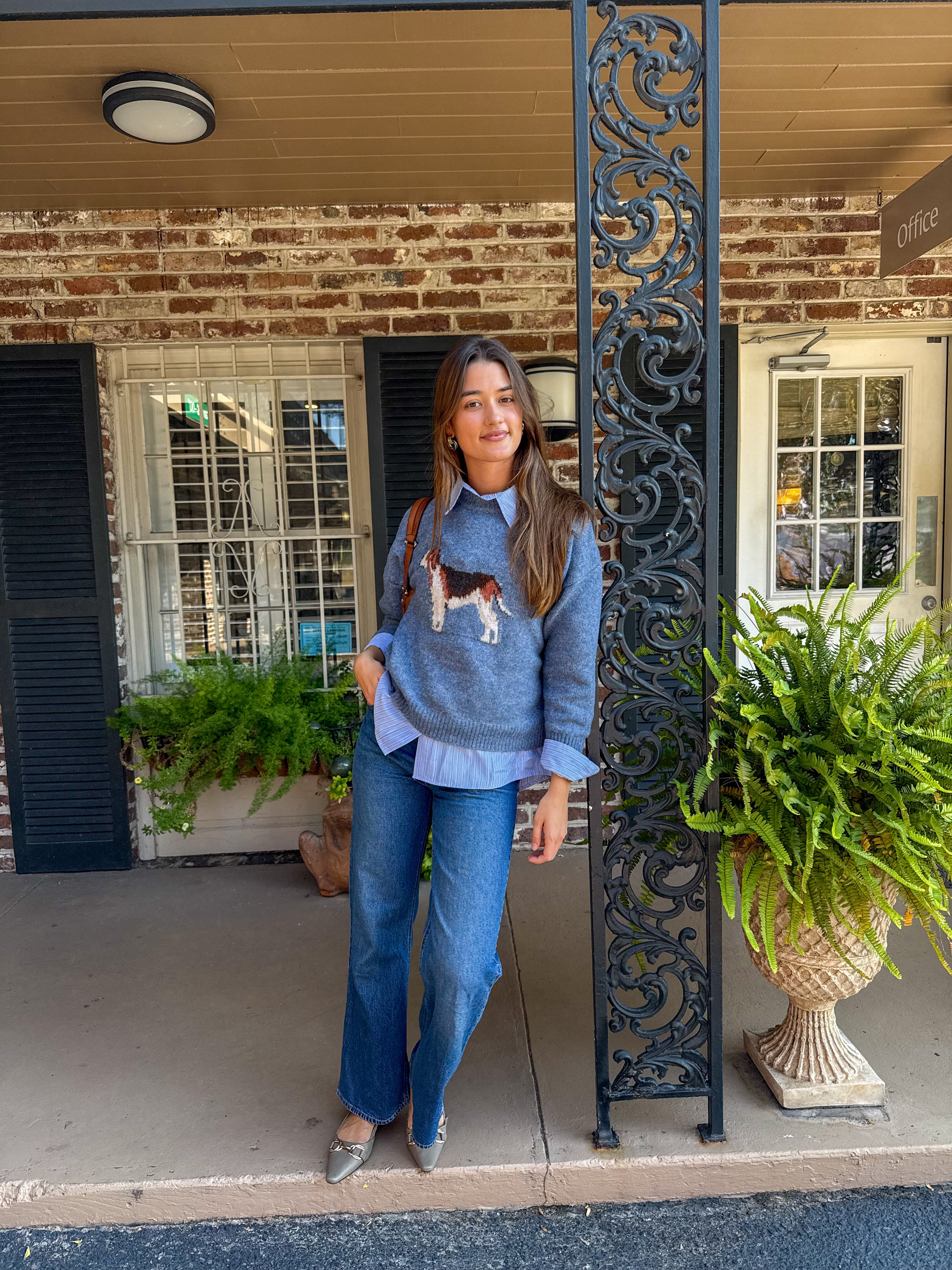 Antique Blue Hound Sweater